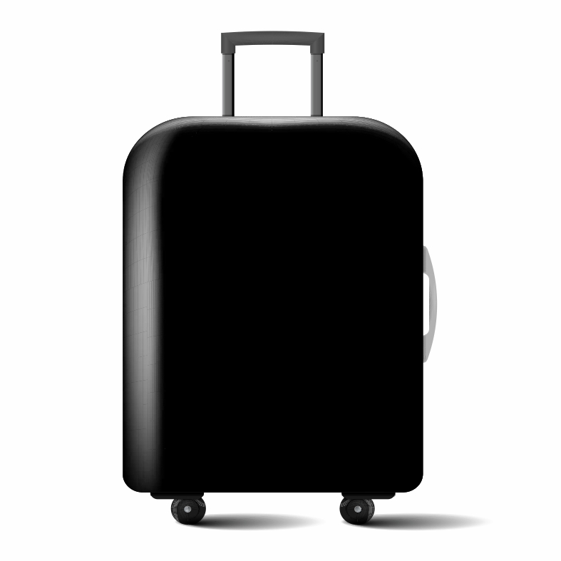 plain black suitcase